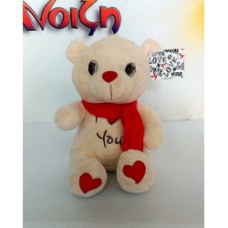 Same day delivery flowers with teddy bears. Plush animals, flowers and presents.