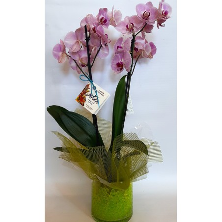 flower shop delivery orchid