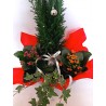 flower shop in Drama. Christmas plants and flowers. Send flowers in Greece. Free shipping for Drama city