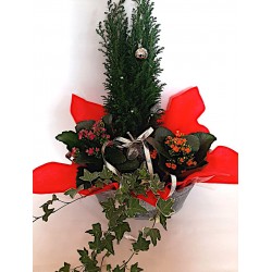 ανθοπωλείο άνοιξη στη Δράμα. χριστουγεννιατικα δωρα και λουλουδια