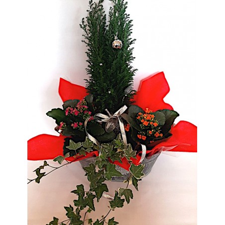 Anoiksi flower shop in Drama. christmas presents and flowers