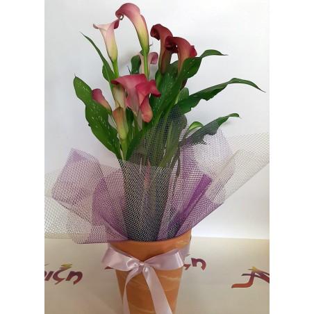 Φυτά, ανθοδέσμες. Αποστολή γλαστρών στη Δράμα. Κάλλα. Ανθοπωλείο Άνοιξη στη Δράμα