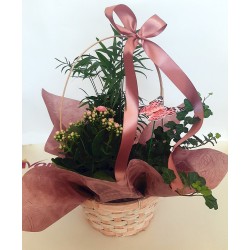 ανθοπωλείο άνοιξη στη Δράμα. σύνθεση φυτών για δώρο, αποστολή λουλουδιών
