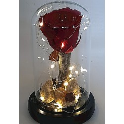 eternal rose in a glass case and decorated led lighting. Send flowers in Drama.