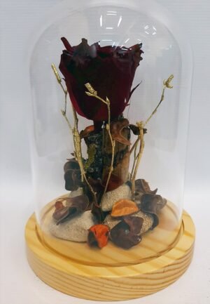 forever_roses_in_drama_003.jpg Αιώνιο Τριαντάφυλλο 003