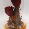 forever_roses_in_drama_005-1.jpg Αιώνιο Τριαντάφυλλο 005