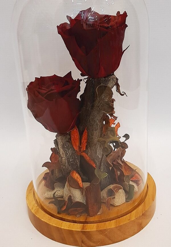 forever_roses_in_drama_005-1.jpg Αιώνιο Τριαντάφυλλο 005